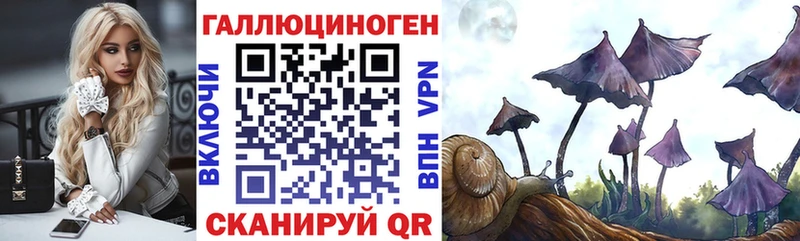 Псилоцибиновые грибы MAGIC MUSHROOMS  Артём 